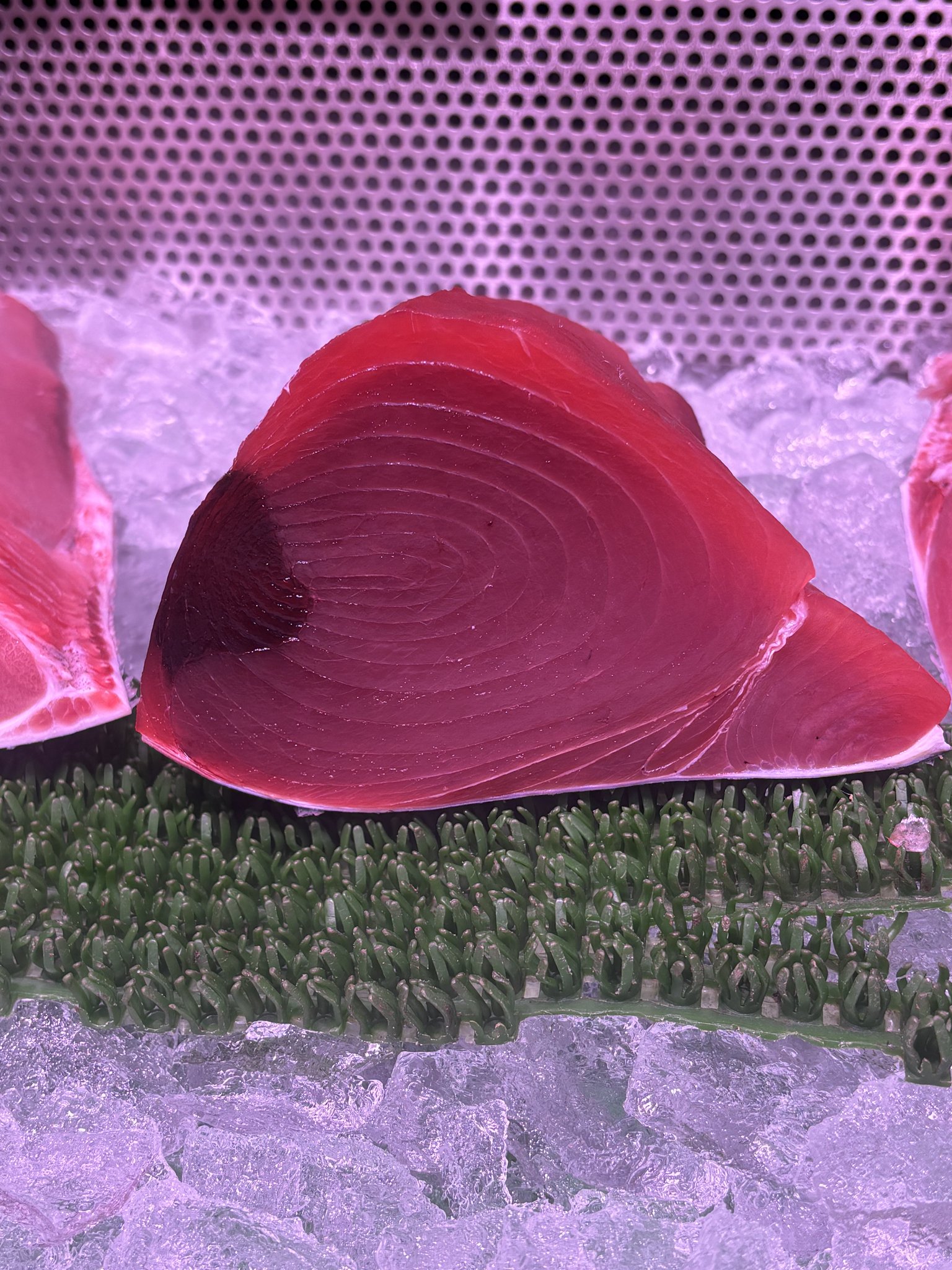 鹿児島県産キハダマグロ