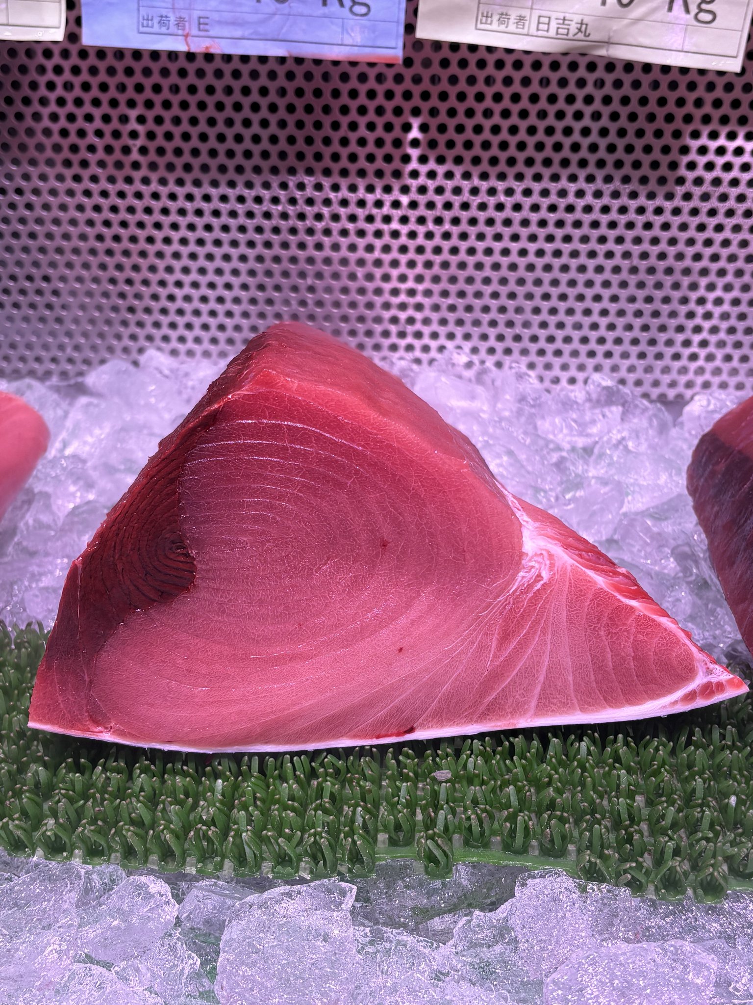 高知県産キハダマグロ 脂物