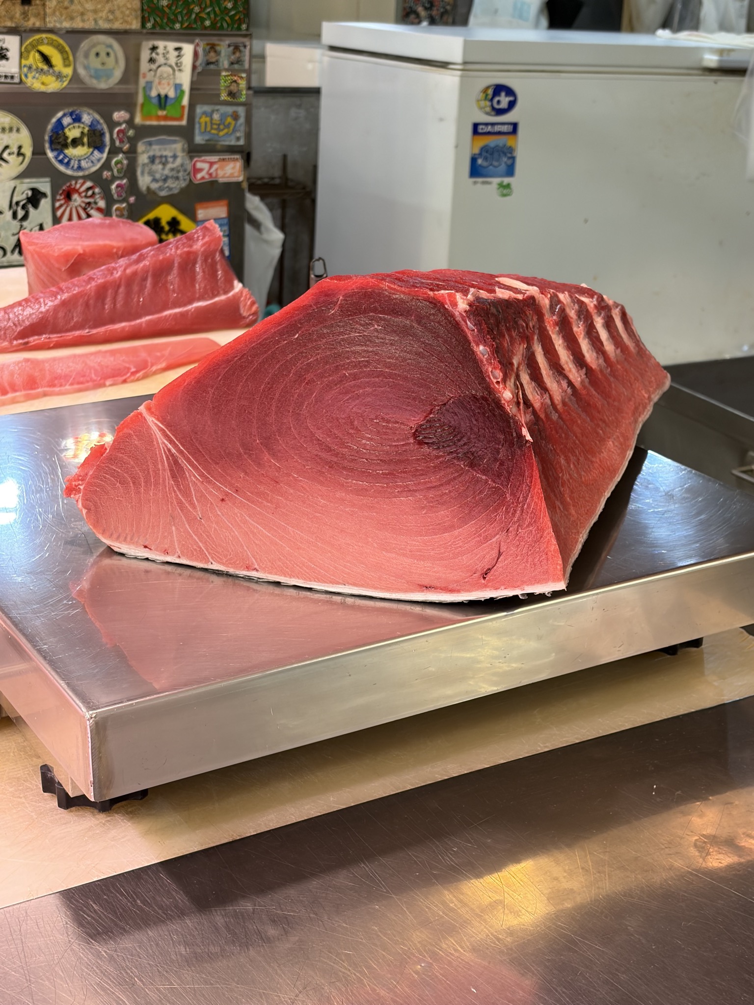 ボストン産天然本マグロの断面。年輪のような模様が入った身がはかりに載っている