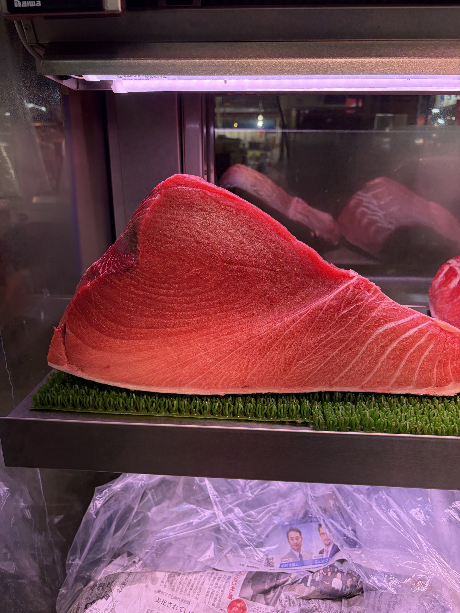 ショーケースに並んだボストン産天然本マグロの柵。脂の入った身が光っている
